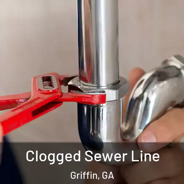  Clogged Sewer Line Griffin, GA