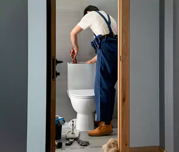 Professional Plumbers for Toilet Bowl Replacement in Griffin, GA: Schedule Affordable Toilet Replacement Services With Us