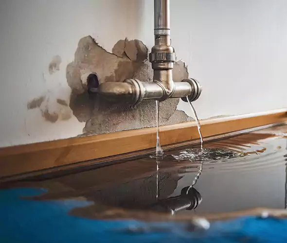Professional Water Damage Restoration Experts in Griffin, GA — Fast, Reliable & Certified