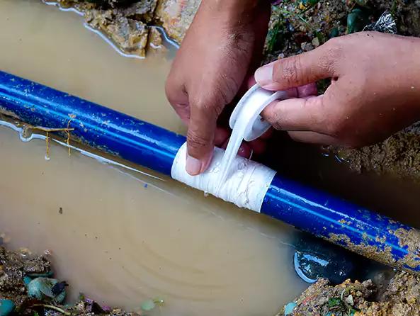  Why Choose Griffin Plumbing Inc for Leak Detection in Griffin, GA?]