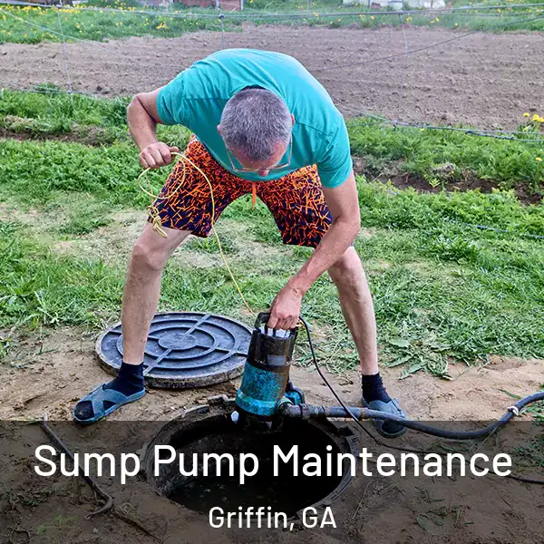  Sump Pump Maintenance Griffin, GA
